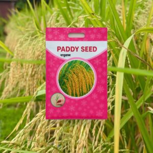 বাবু রাজ ধান 2 KG