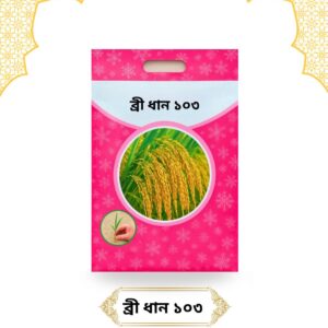 ব্রী ১০৩ ধান ২ কেজি পেকেট